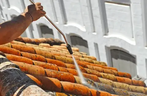 Nettoyage de toitures - Samognat